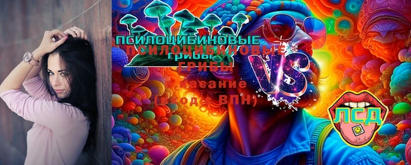 2c-b Беломорск