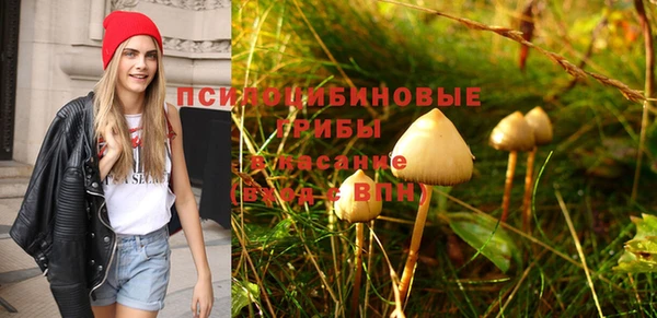 марки nbome Белокуриха